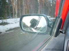 Male Wood Grouse: view from side mirror