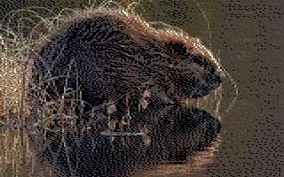 Tiedosto:Majava (C64).png