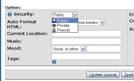 Tiedosto:LiveJournalin Security-alasvetovalikko.png
