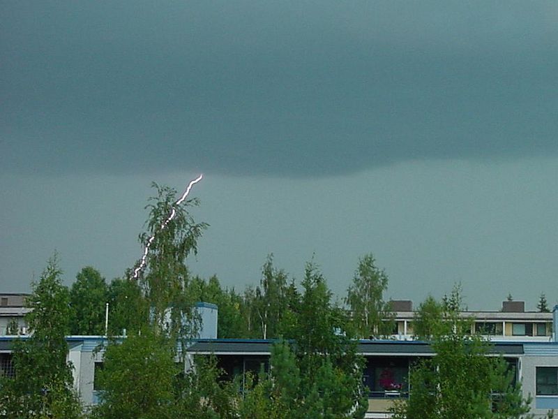 Tiedosto:Salama puun takana.jpg