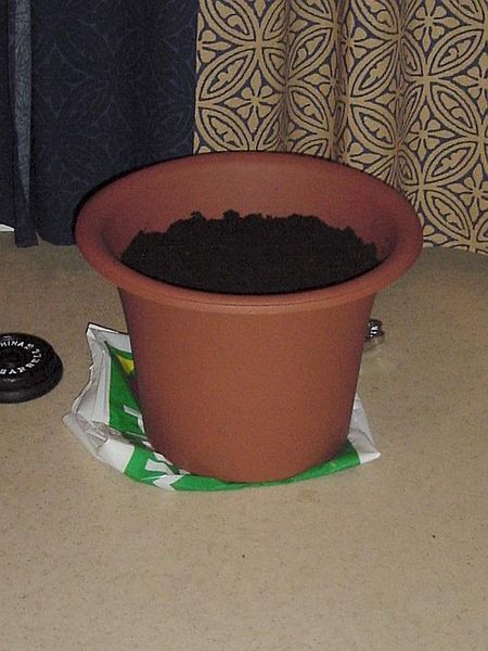 Tiedosto:Iso ruukullinen mustaa multaa.jpg