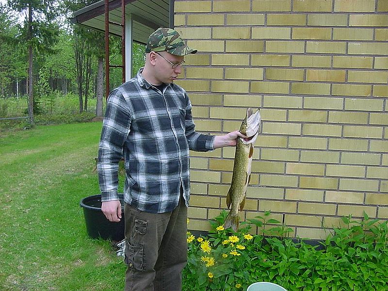 Tiedosto:Hauki kädessä.jpg