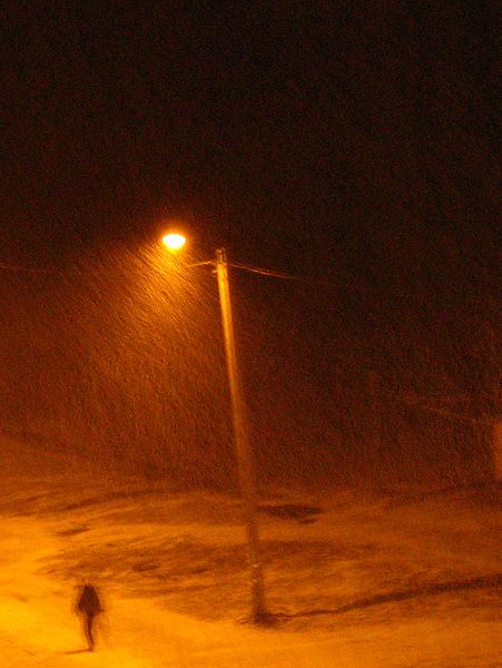 Tiedosto:Ihminen suurpainenatriumlampun valokeilassa, lumisateessa.jpg