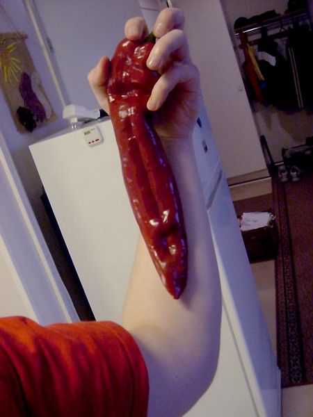 Tiedosto:Iso suippopaprika kädessä.jpg